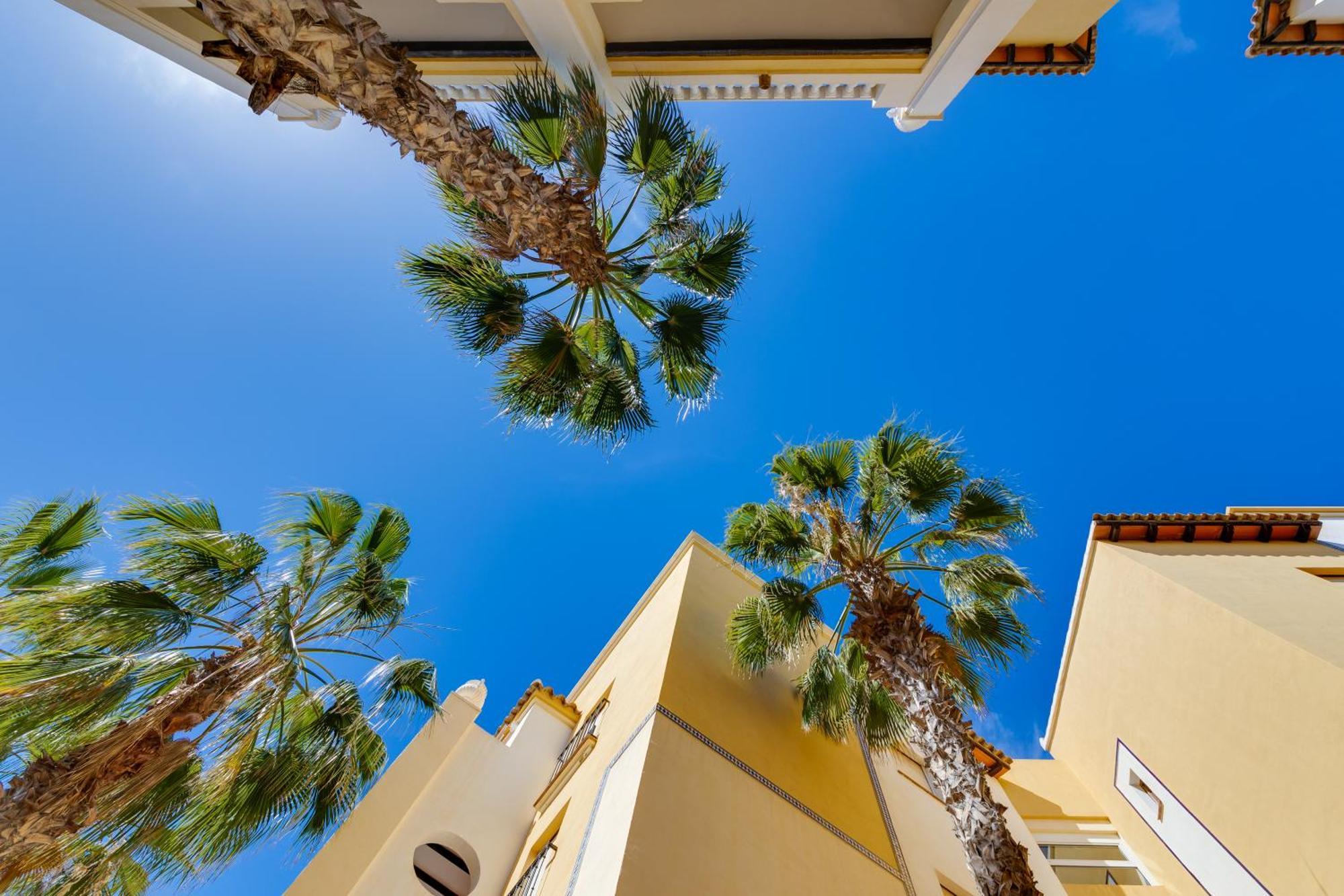 Premium Apartment Beach Aldea Del Mar Torrevieja Ngoại thất bức ảnh